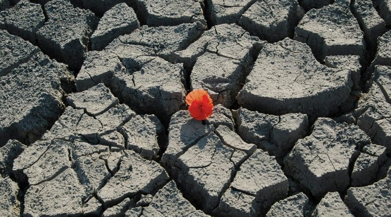 Cracked earth representing the severe global water crisis and drought