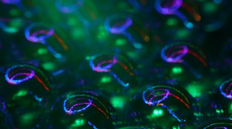 IBM Quantum Computer core aimed at revolutionizing future technology